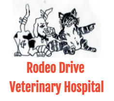 Mesquite veterinary store